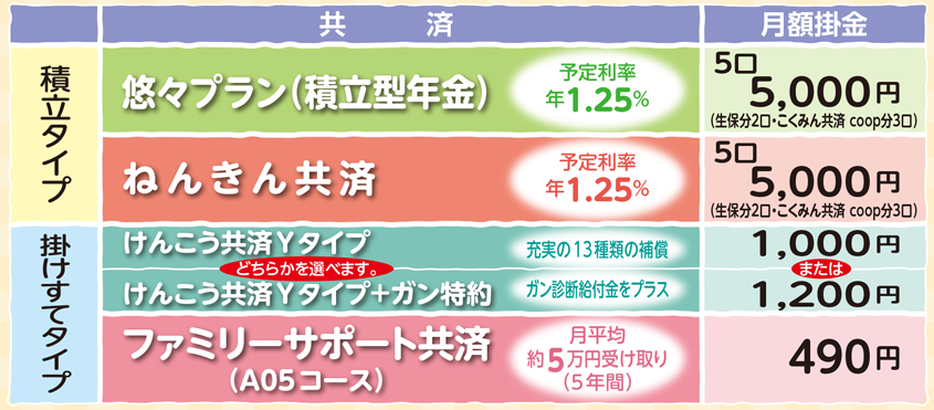 オススメプラン 電機連合福祉共済センター